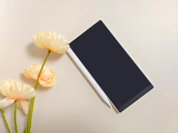 6.5inch Portable size LCD Double-Sided Writing Tablet board DN065_EU