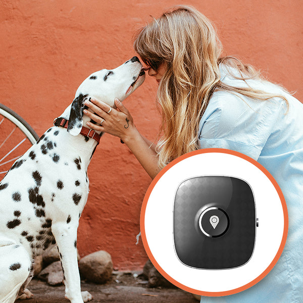 4G GPS Tracker PT03 Android Pet Tracker Asian & European